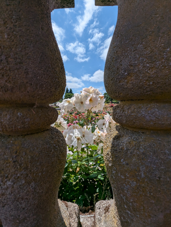 Photo: Aperture