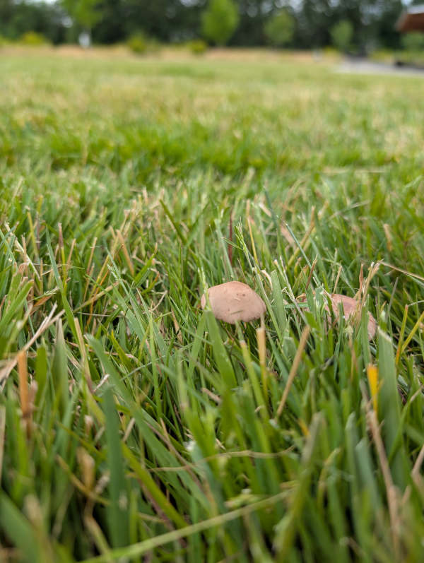 Photo: Bokeh