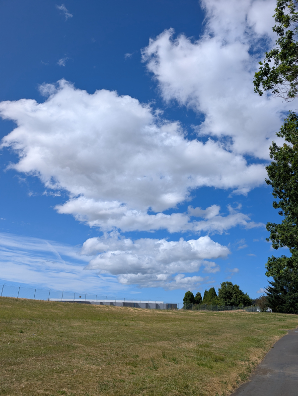Photo: Composition